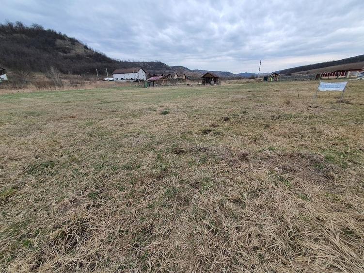 Apartament cu 2 camere semidecomandat în Livezeni