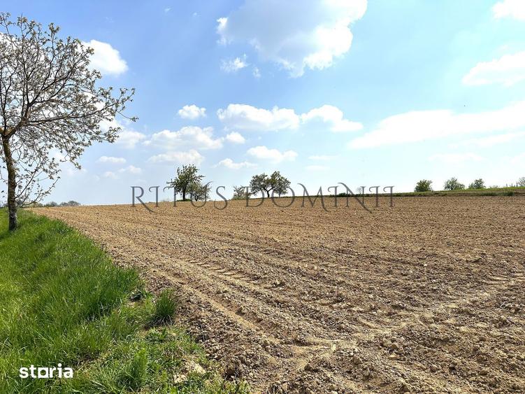 Teren Intravilan de Vanzare, Cetariu, 5450mp - 5