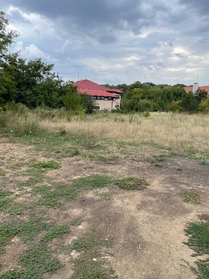 Teren Construcții intravilan de 3774 mp, în Bălteni