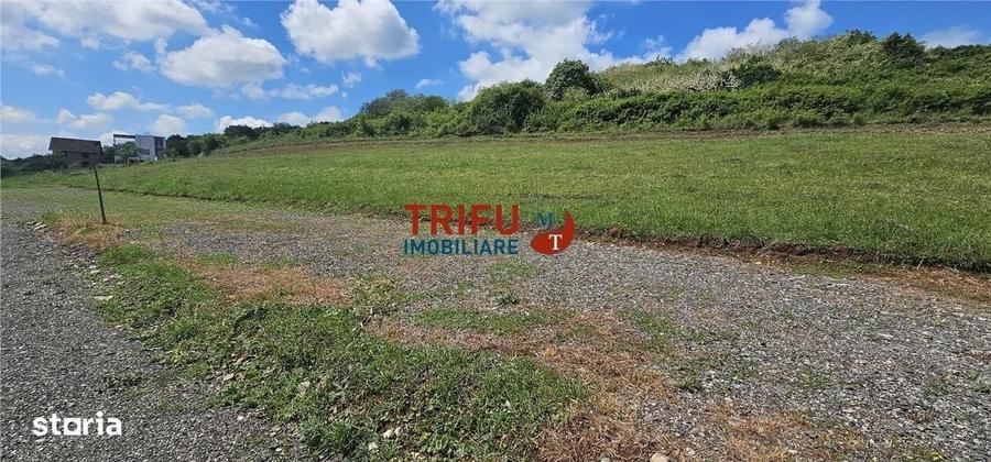 Spațiu comercial, în Cetate