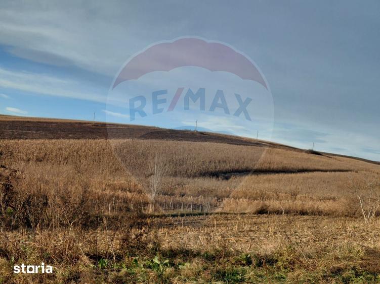 Teren de 800 mp, în Traian