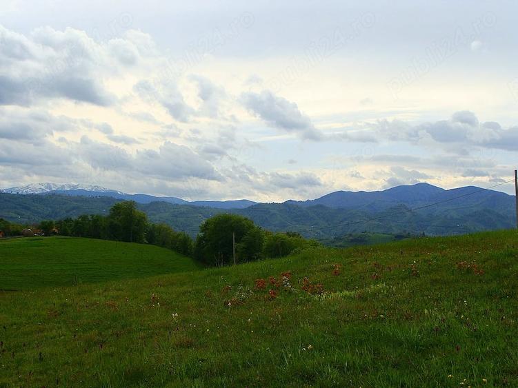 Teren de 11600 mp, în Poiana Mărului