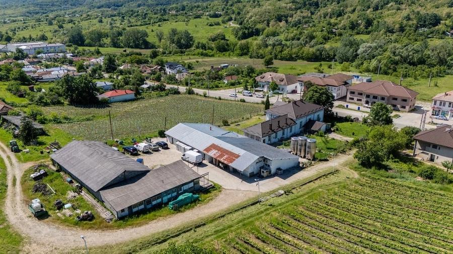 Teren de 600000 mp, în Gușoeni
