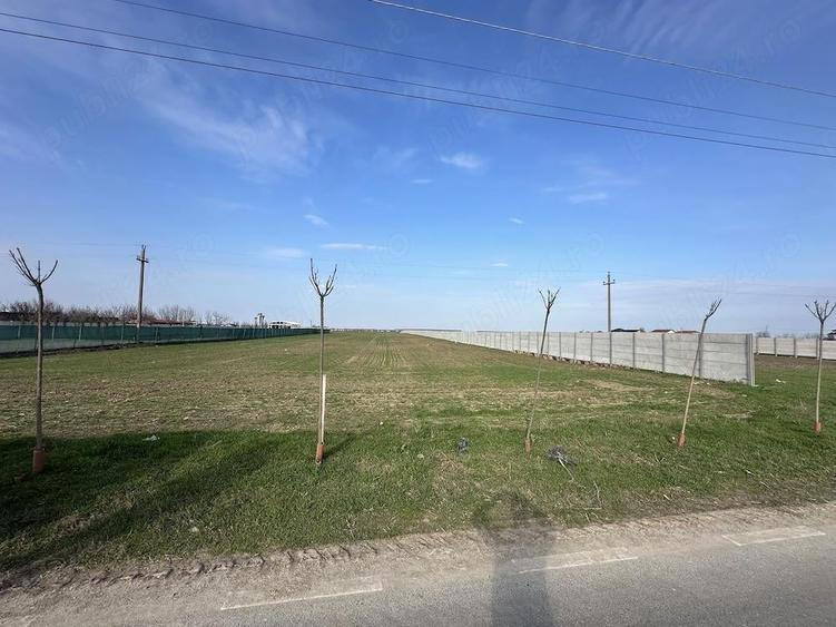Teren de 6700 mp, în Bălăceanca
