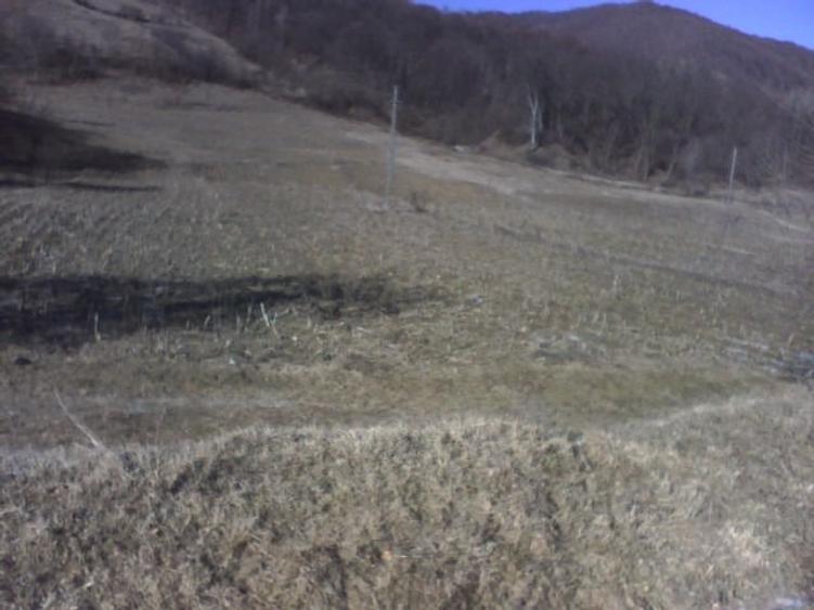 Teren Construcții intravilan de 31337 mp, în Posești