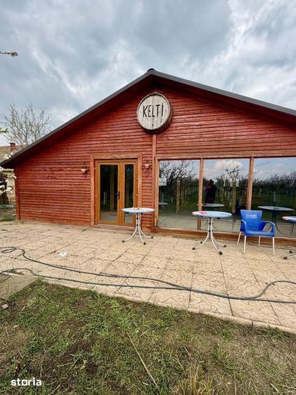 Teren de 3500 mp, în Iosefin