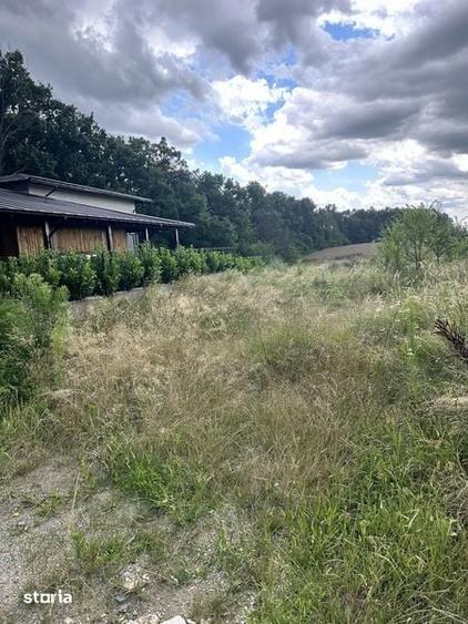 Vand teren 639 mp cu deschidere 19 m langa padurea Paulesti - 1