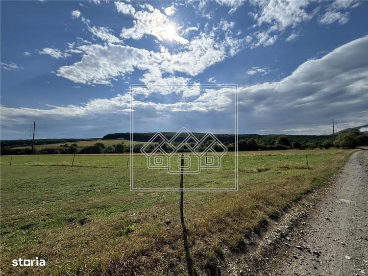 Teren intravilan, 5861 mp - Tocile - 8