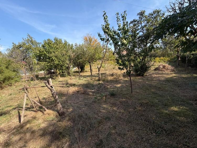 Casă cu 3 camere în Central