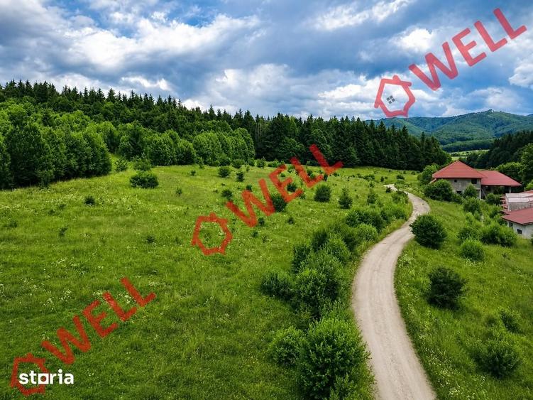 Teren de 1500 mp, în Dumbrăvița