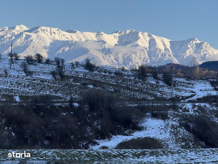Teren intravilan 667 mp in Zarnesti zona Grui pentru casa - 5