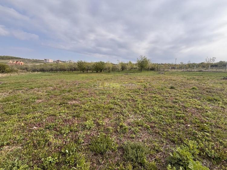 Teren de 793 mp, în Paleu