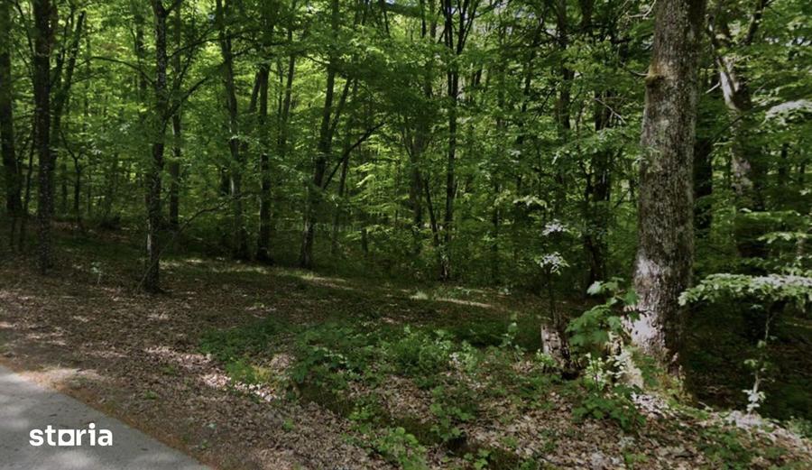 Teren de 4480 mp, în Lăzăreni