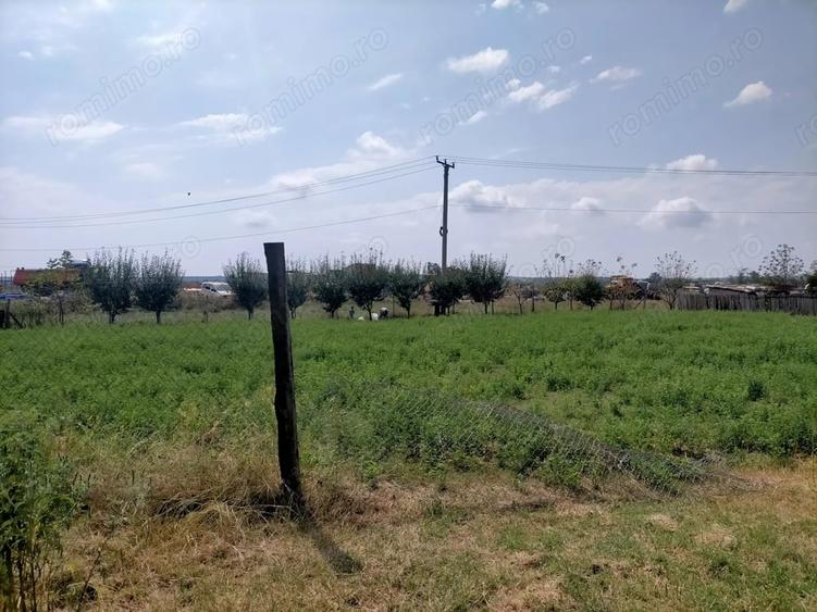 Teren de 800 mp, în Rovine