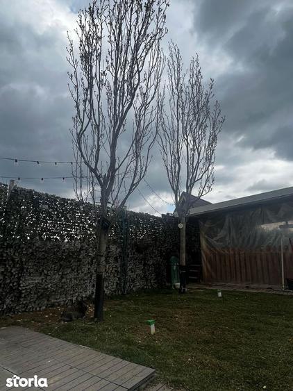 Casă cu 5 camere cu Teren 500 Mp în Săbăreni