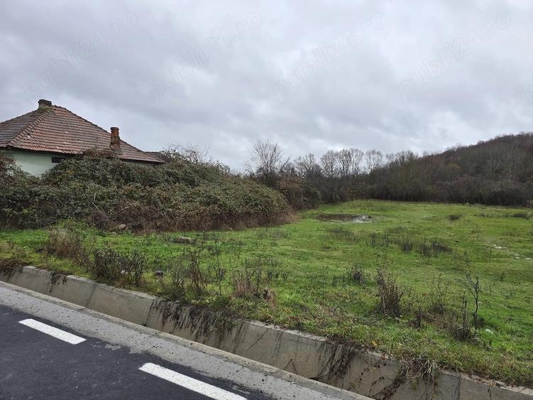 Teren de 2800 mp, în Borlești