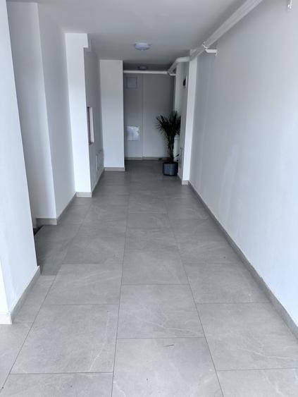 Apartament cu 2 camere, mobilat în Cetate