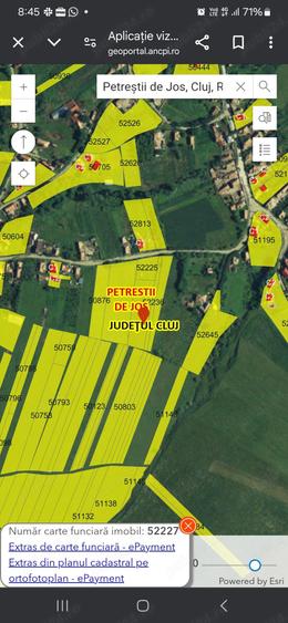 Vand teren intravilan Petrestii de Jos - 3