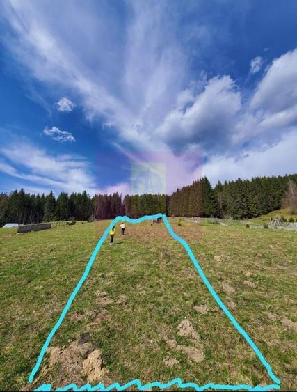 Teren intravilan 2500 mp in Valea Doftanei - 3