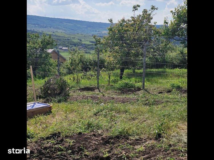 Teren de 740 mp, în Tomești