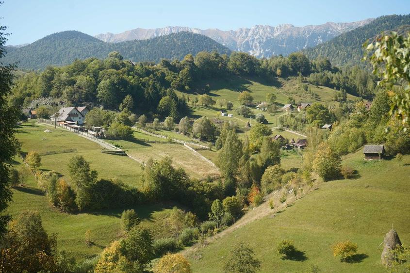 Teren de 2969 mp, în Măgura