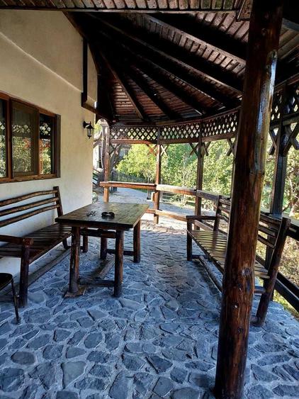 Vand casa de vacanta in Valea Doftanei , teren, vila, Paltinu, natura - 3