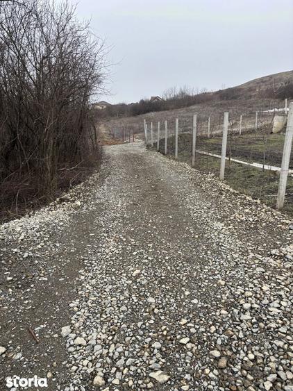 Teren de 1148 mp, în Borhanci