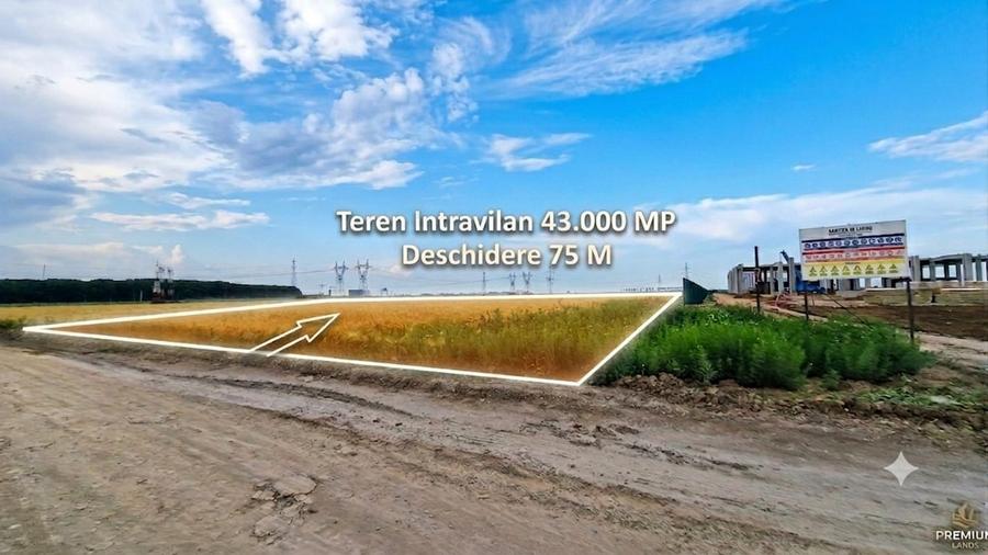 Teren Construcții intravilan de 43000 mp, în Ștefăneștii de Jos