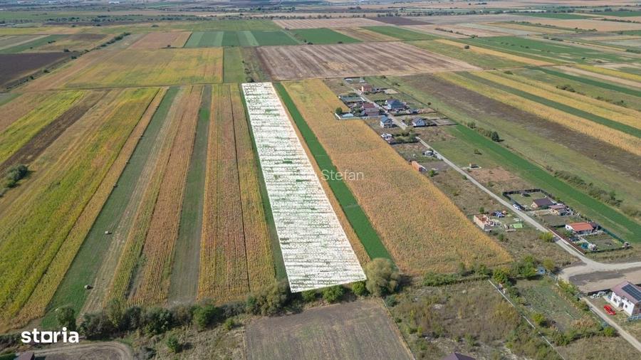Teren Intravilan Bod | 15.000 mp | Zona Uranus - Constelatiei