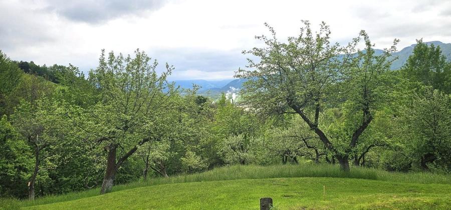 Teren Construcții intravilan de 17422 mp, în Sud-Est
