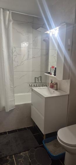 Apartament cu 3 camere decomandat, mobilat în Găvana 3