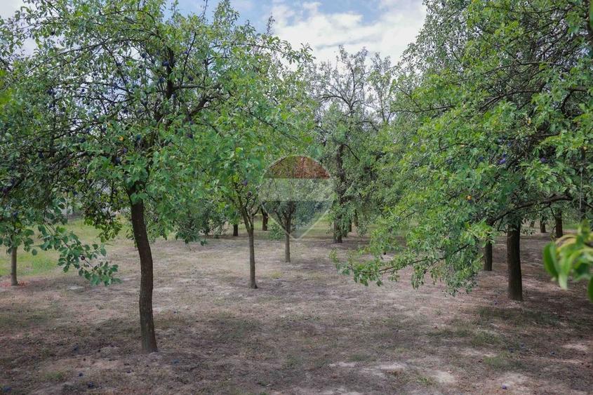 Casă individuală cu 3 camere cu Teren 8788 Mp în Forosig