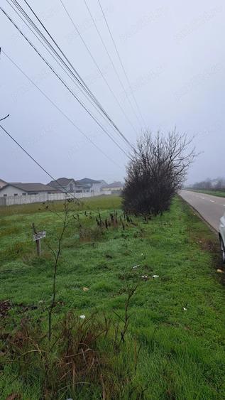 Teren de 5000 mp, în Preajba