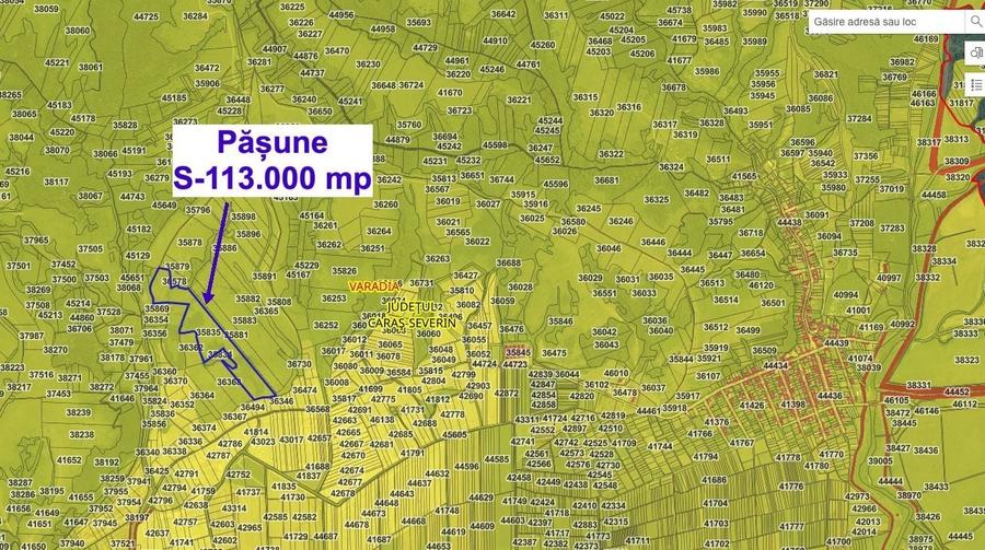 Teren agricol extravilan de 113000 mp, în Vărădia