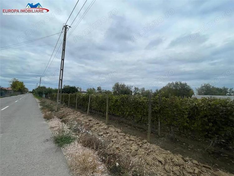 Teren de 1000 mp, în Iazurile