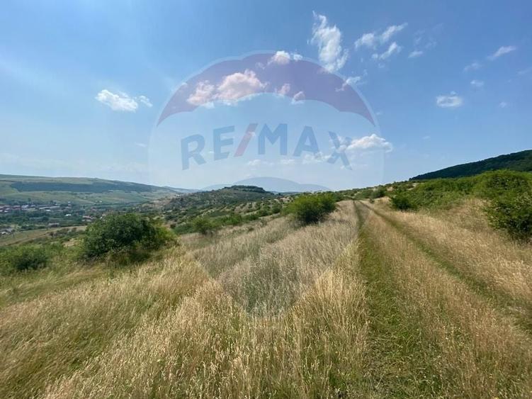 Teren Construcții intravilan de 11000 mp, în Mera