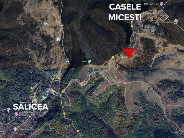 Teren de 920 mp, în Sălicea