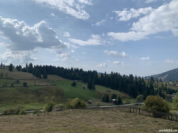 Teren de 7837 mp, în Dorna-Arini