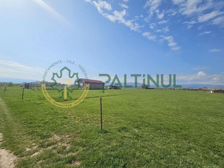 Teren agricol extravilan de 1500 mp, în Șelimbăr