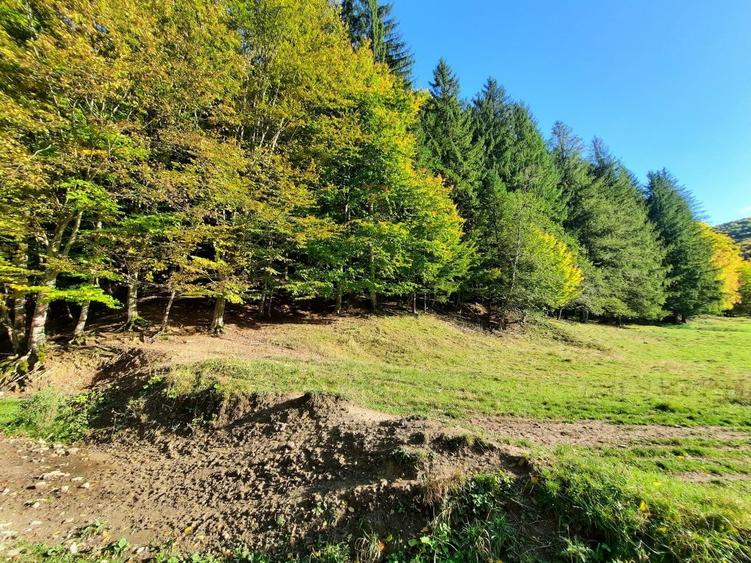 Teren agricol extravilan de 7160 mp, în Alexandru cel Bun