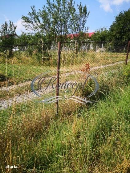 Spațiu comercial, în Ciurila