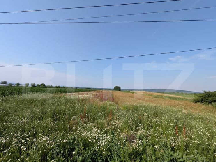 Teren Construcții intravilan de 3000 mp, în Comișani