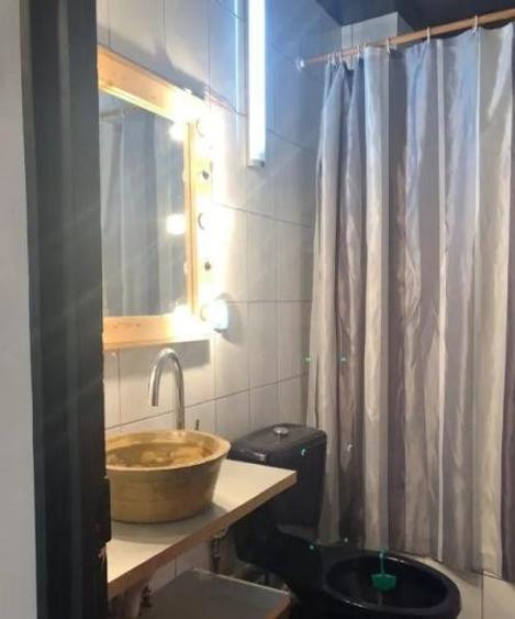 Apartament cu 3 camere decomandat în Basarabia