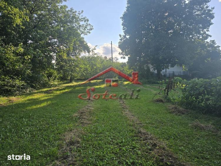 Teren de 1300 mp, în Central