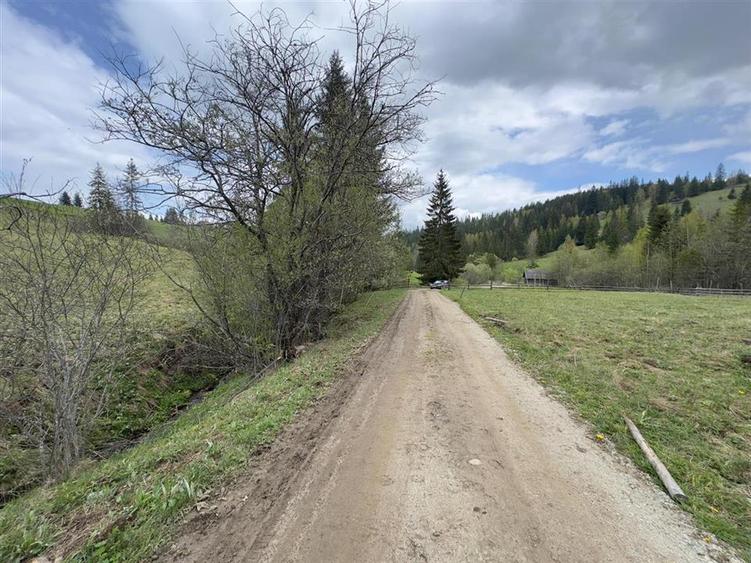 Teren Construcții intravilan de 6000 mp, în Șaru Dornei