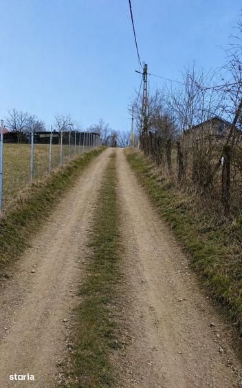 Teren de 1000 mp, în Aroneanu