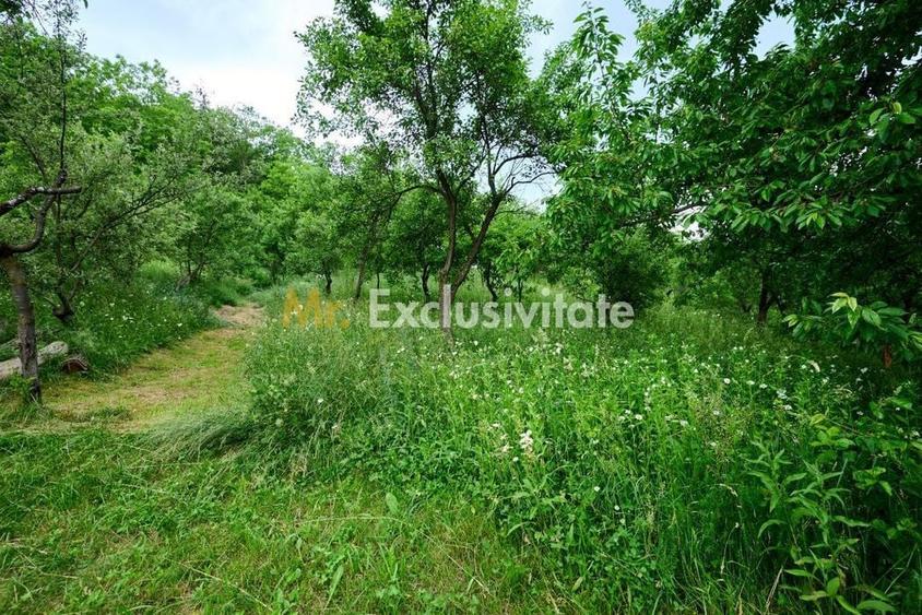 Casă cu 3 camere cu Teren 4696 Mp în Central