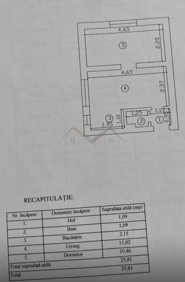 Apartament cu 2 camere nedecomandat în Podu Roș