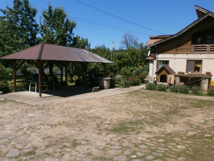 Teren de 120 mp, în Bâscenii de Sus