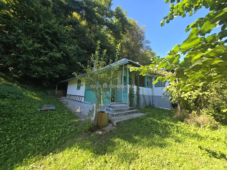 Casă individuală cu 3 camere cu Teren 3159 Mp în Gogeasca